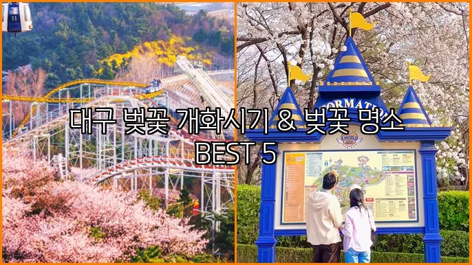 대구 벚꽃 개화시기 & 벚꽃 명소 BEST 5