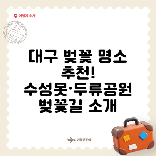 대구 벚꽃 명소 추천! 수성못·두류공원 벚꽃길 소개