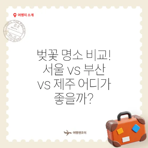 벚꽃 명소 비교! 서울 vs 부산 vs 제주 어디가 좋을까?