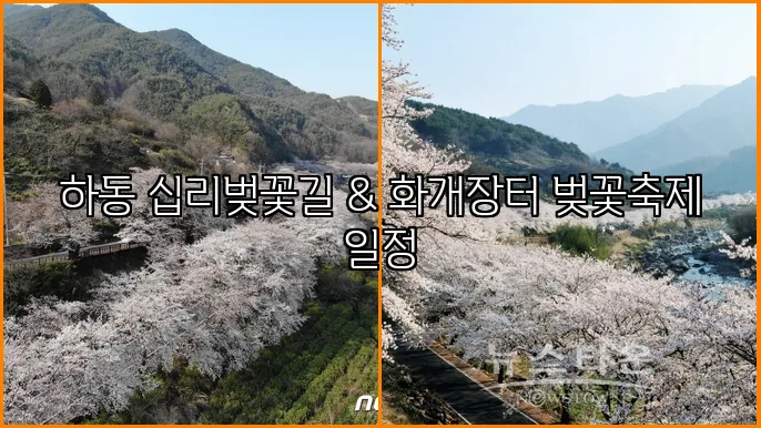 하동 십리벚꽃길 & 화개장터 벚꽃축제 일정