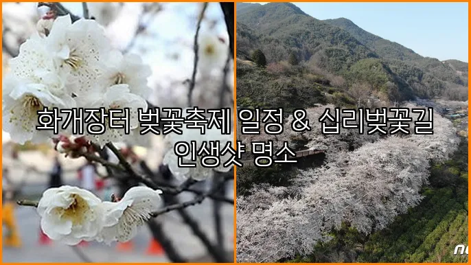 화개장터 벚꽃축제 일정 & 십리벚꽃길 인생샷 명소